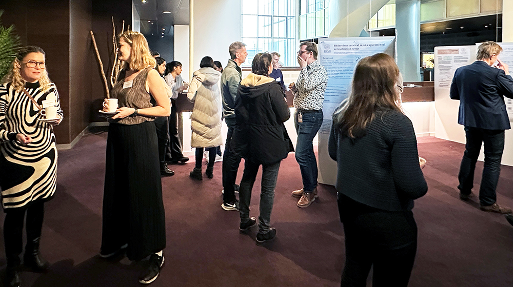People mingling during a conference. Photo.